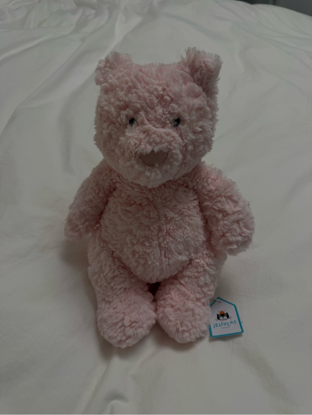 Leola Jellycat Pink Plush Bear - Soft Cute Comfort Toy